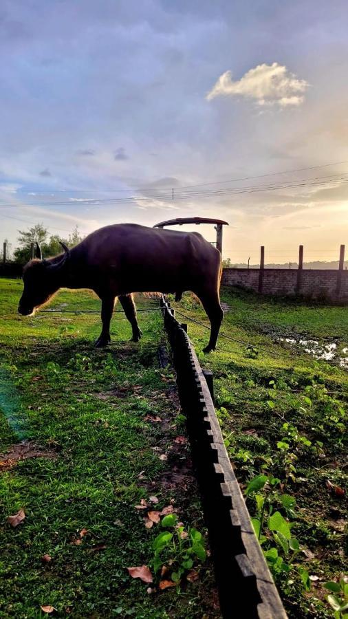 Pousada Marajoara- Hotel Fazenda-Turismo De Aventura Сори Экстерьер фото